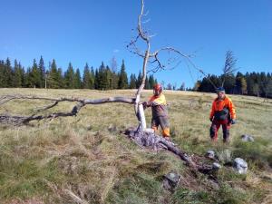 IMG_20170923_101054 (1024x768)